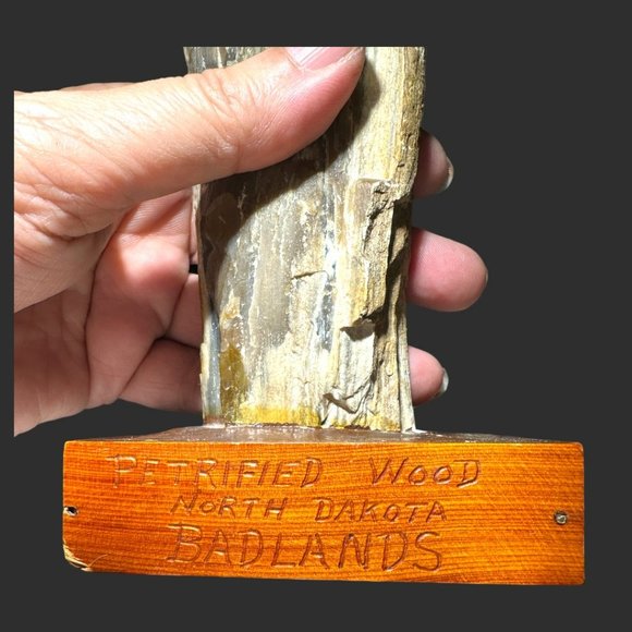 PETRIFIED WOOD NORTH DAKOTA BADLANDS ON VINTAGE HANDMADE STAND - Picture 7 of 12